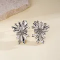 Macro view of elegant silver firework stud earrings with clear sparkling crystals - Irregular Fireworks Style (HE34070) / Clear