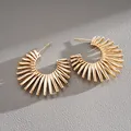 Detailed macro shot of vintage gold C-shaped sunburst earrings with a textured metallic finish - Silver Needle / Light Coffee Gold