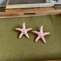Gros plan d'un bijou étoile de mer en émail nacré rose sur un fond vert texturé - Boucles d'Oreilles Seules Avec Tige en Argent Sterling 925 Sans Collier / Rose