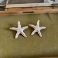 Vue détaillée de breloques étoile de mer rose perlé sur un fond vintage vert olive - Boucles d'Oreilles Seules Avec Tige en Argent Sterling 925 Sans Collier / Blanc