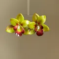Vue détaillée des boucles d'oreilles orchidée avec une finition en résine brillante - Style de tige d'oreille en argent / Vert