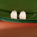 Detailweergave van minimalistische zilverkleurige oorringen met een geborstelde afwerking - Zilver