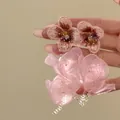 Vista muy detallada de los pendientes de borla de flores de gasa rosa con bordado - Rosa