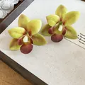 Elegant realistic yellow and burgundy orchid flower stud earrings on cream texture - Simulation Orchid Style