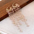 Exquisite close-up view of elegant light pink crystal tassel earrings with golden hardware details - Long Tassel / Gold-Pink