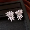 Dettaglio di orecchini a lobo a forma di fuochi d'artificio con strass trasparenti - 不规则烟花造型 / Argento-Trasparente
