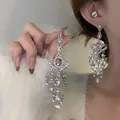 Close-up detail of luxurious pink stone and rhinestone tassel earrings on model - Silver Post Style (HE24853) / Silver-Pink