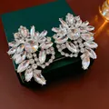 Gros plan de boucles d'oreilles vintage en cristal de style royal sur une boîte verte. - Silver Earrings (53#) / Argent