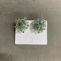 Unique green translucent beaded cluster earrings in hydrangea grape style for women - Pale Green