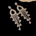 Eleganti orecchini pendenti con strass scintillanti e ago in argento per feste e gala. - Stile Nappa di Diamanti a Goccia Vuota (25#)
