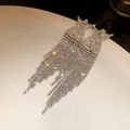 Macro view of elegant silver tassel earrings featuring sparkling rhinestones for women. - 14# Silver Silver Post