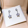 Eleganti orecchini a perno in argento con zirconi tondi e a forma di stella per donne - Argento