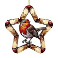 Whimsical stained glass star suncatcher ornament with robin bird design for window - 15*15*0.2 / Star-Shaped Robin Style (51)