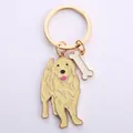 Close-up of a golden retriever dog charm and bone pendant on a gold keychain. - Gold Golden Retriever with Bone Tag