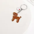 Close-up of brown poodle zinc alloy keychain with I Love Dogs tag - Brown Teddy Dog