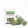 Natural eucalyptus smudge stick bundle with a white minimalist product packaging box - Eucalyptus [Chinese Version] - 2 Sticks