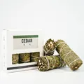 Natural dried cedar smudge sticks with white gift box for space purification - Cedar [Chinese Version] - 3 Sticks