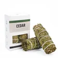 Natural dried cedar smudge stick bundle in white minimalist packaging box for cleansing - Cedar [English Version] - 2 Sticks