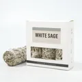 Natural California white sage smudge sticks set in a minimalist white gift box - White Sage [English Version] - 3 Sticks