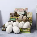Detailed view of 12-piece dinosaur egg excavation toy set for kids' science learning. - Blister Archaeological Dinosaur Egg
