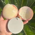 Creative notepad with natural abalone shell covers and circular blank paper pages. - Approx. 8-10cm / Pink Clam Memo Pad