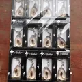 12er-Set echte Skorpion-Insekten-Bernstein-Schlüsselanhänger in Einzelhandelsverpackung - Transparenter Skorpion Mit Weißem Boden (Mit Box)