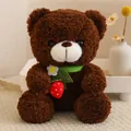 Simpatico orsetto di peluche marrone con sciarpa verde e una fragola decorativa - Orsetto Fragola Caffè / 20-30cm