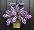 Artificial purple lilac flower arrangement in rustic metal bucket for home door decor - Purple Lilac Vintage Metal Bucket Style (40CM) (Picture 16-40CM)