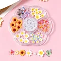 Detailed view of mixed 3D resin flower and pearl nail art accessories in a storage box. - Plum Box A00112-3D Flowers and Artificial Pearls