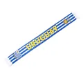 Uruguay national team fans satin scarf for 2026 World Cup supporters - 135cm / Uruguay