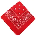 Klassisches rotes Paisley-Bandana mit weißem Blumenmuster für Outdoor-Radfahren - 54*54CM / Rot 658703