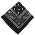 Classic black and white paisley bandana multifunctional outdoor headscarf for cycling - 54x54cm / Black (658705)