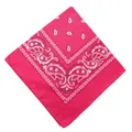 Vibrant pink paisley bandana for outdoor cycling and multi-functional headwear usage. - 54x54cm / Rose Red (658706)
