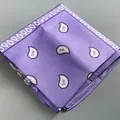 Purple bandana with classic paisley pattern, multi-functional outdoor cycling headscarf - 54x54cm / Light Purple (658711)