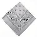 Grey paisley pattern bandana for outdoor cycling and multi-functional sports use - 54x54cm / Gray (658717)