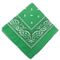 Vibrant green paisley patterned bandana square headscarf for outdoor cycling and daily wear - 54x54cm / Deep Green (658724)