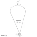 Minimalistische roestvrijstalen hartketting met zirkonia, zilverkleur, 40+5cm. - Zilver