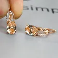 Elegant champagne gold oval stud earrings with rose gold plating and zircon details - Champagne Gold Champagne Stone
