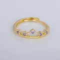Elegant vintage French gold-plated crown ring with purple zircon stones and adjustable band - Adjustable Open / Purple Crown Shape Style (YXY-FJTR(25))
