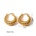 Detailed view of hypoallergenic textured titanium steel hollow hoop earrings with gold finish - Croissant Twisted Style (BG06) / 18K Gold