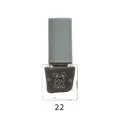 BK water-based long-lasting nail polish in shade 22, dark grey-brown quick dry color - 8ml / 22# Tin Grey