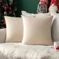 Set of 2 cream solid color velvet throw pillow covers with piped edges for couch - Off-white