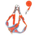 Orange reflective vest-style dog harness and matching leash set for small pet safety - S Recommended Weight (4-6 kg) / Orange