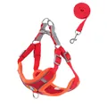 Red reflective dog harness vest with matching retractable leash set for small dogs - S Recommended Weight (2-3kg) / Red