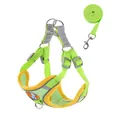 Adjustable reflective lime green dog harness vest and matching leash for small dogs - S Recommended Weight (4-6 kg) / Green