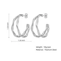 Créoles torsadées géométriques en acier au titane argenté de haute qualité - Style Géométrique Torsadé (PJER342) / 32mm / Acier