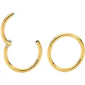 Goldenes Titan-Scharniersegmentring für Nasen- und Ohrpiercings. - 0.8*6 / Gold