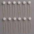 Set Di Forcine Per Capelli Di Lusso In Oro Hs-j3841g