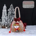 Faux fur Christmas gift bag with cute teddy bear motif and drawstring closure design - Faux Fur Bear Apple Bag / 23x22cm