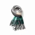 Elegant soft plaid cashmere-like scarf with tassels in teal and grey for winter season - 200x60cm (Including Fringe) / Green Grey Plaid (39#)